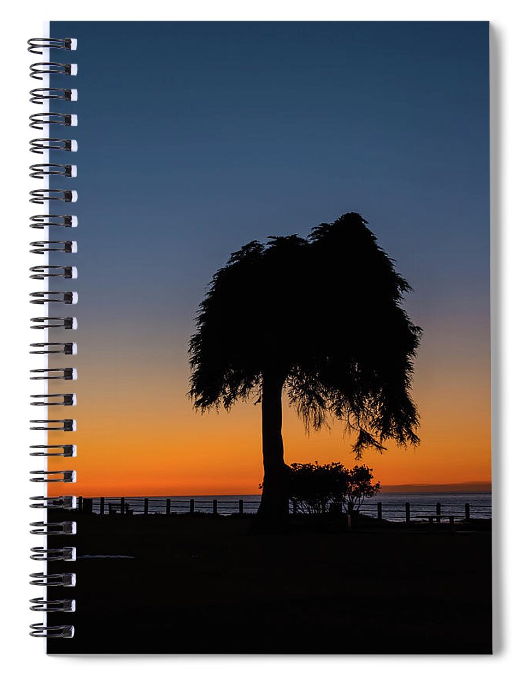 Lajolla Spiral Notebook featuring the photograph La jolla Tree Silhouette by Bruce Pritchett