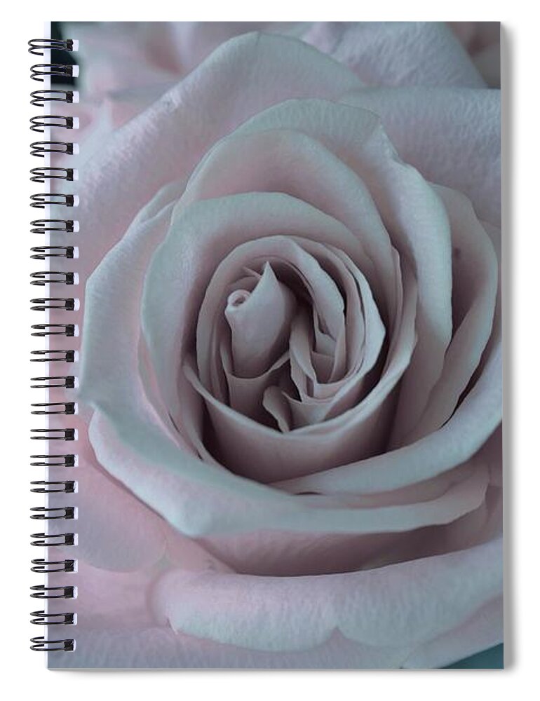 Arizona Spiral Notebook featuring the photograph La Vie En Rose by Janet Marie