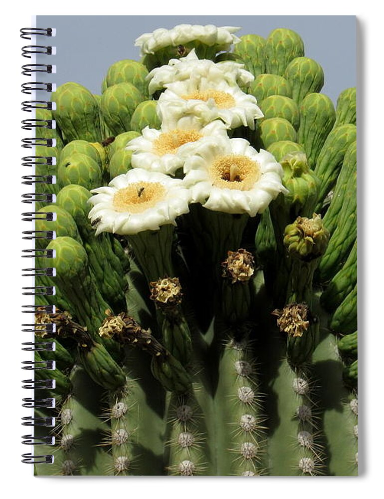 Ladder To The Top Spiral Notebook featuring the photograph Ladder to the Top by Adrienne Wilson