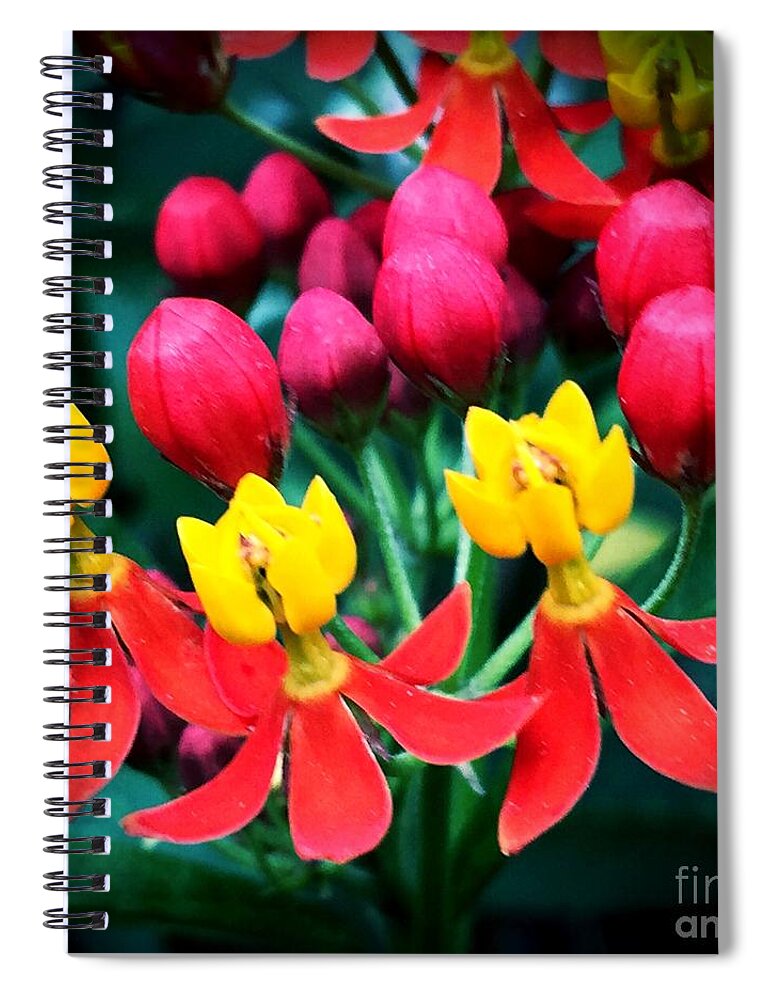 Macro Spiral Notebook featuring the photograph Ladies in Waiting by Vonda Lawson-Rosa