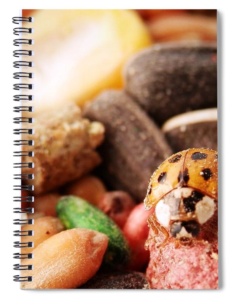 This Bright Spiral Notebook featuring the photograph Lucky Ladybug At the Park by Belinda Lee