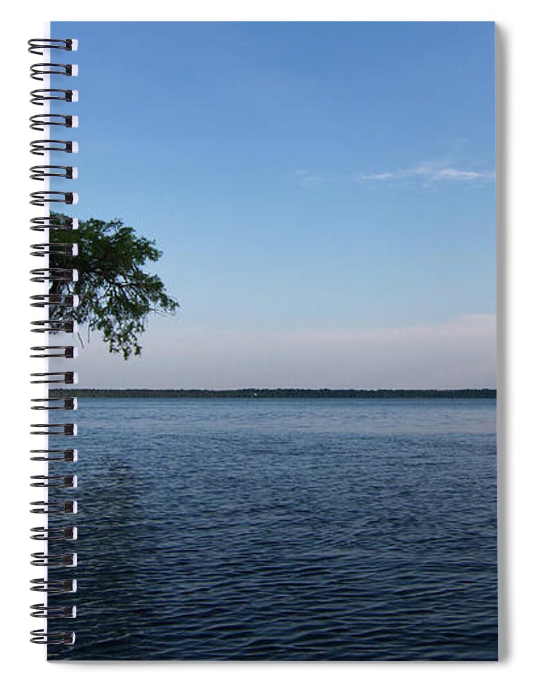Lake Spiral Notebook featuring the photograph Lake Disston Cypress #2 by Paul Rebmann
