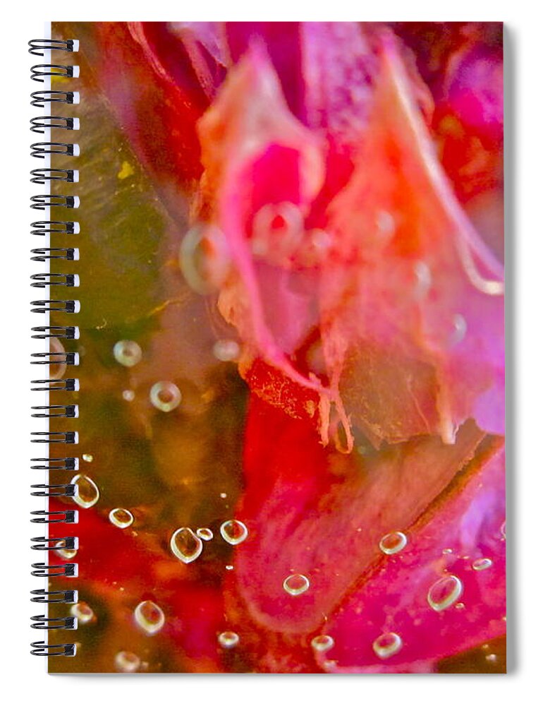 Abstract Spiral Notebook featuring the photograph Lakeside Garden by Gwyn Newcombe