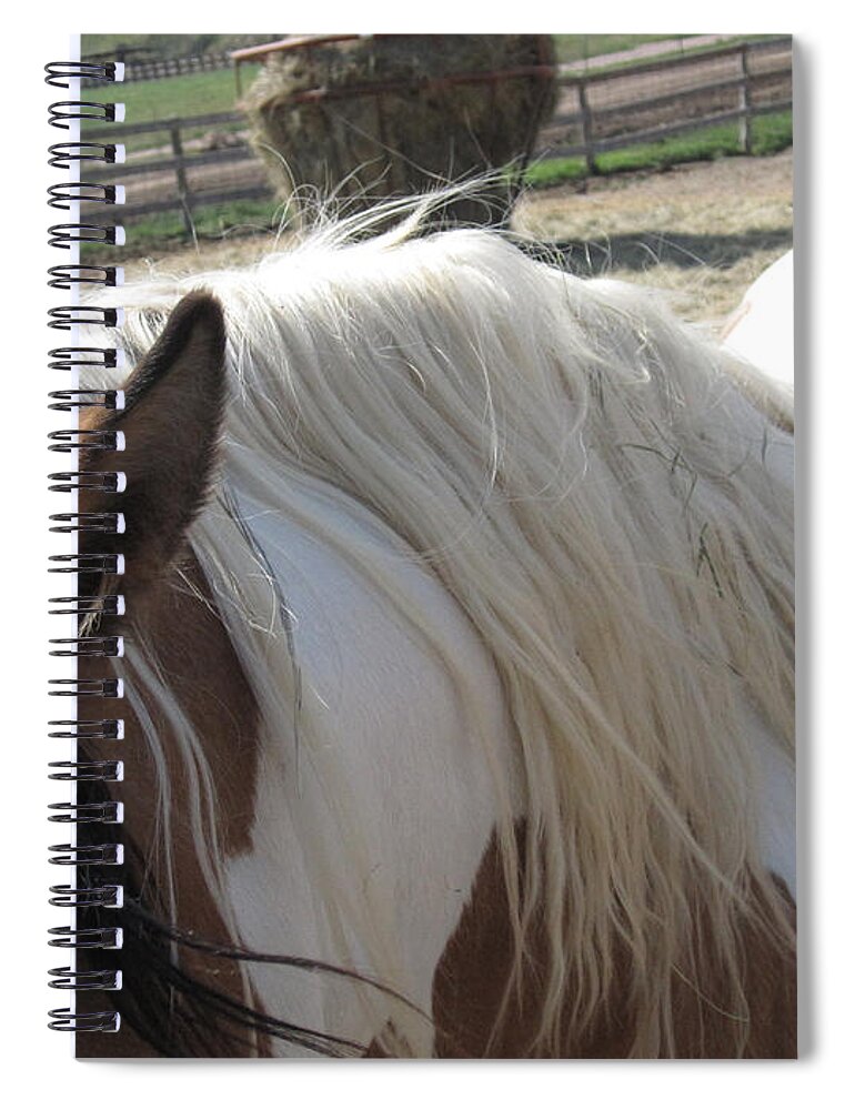 Horse Spiral Notebook featuring the photograph Lakna Again by Brandy Woods