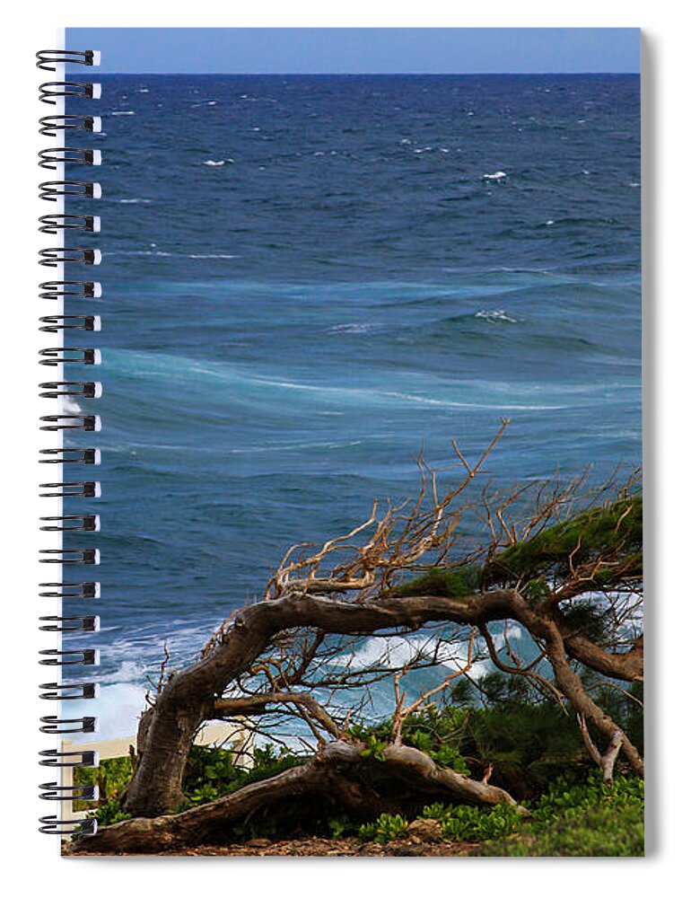 Land Wind And Sea Spiral Notebook featuring the photograph Land Wind and Sea by Bonnie Follett
