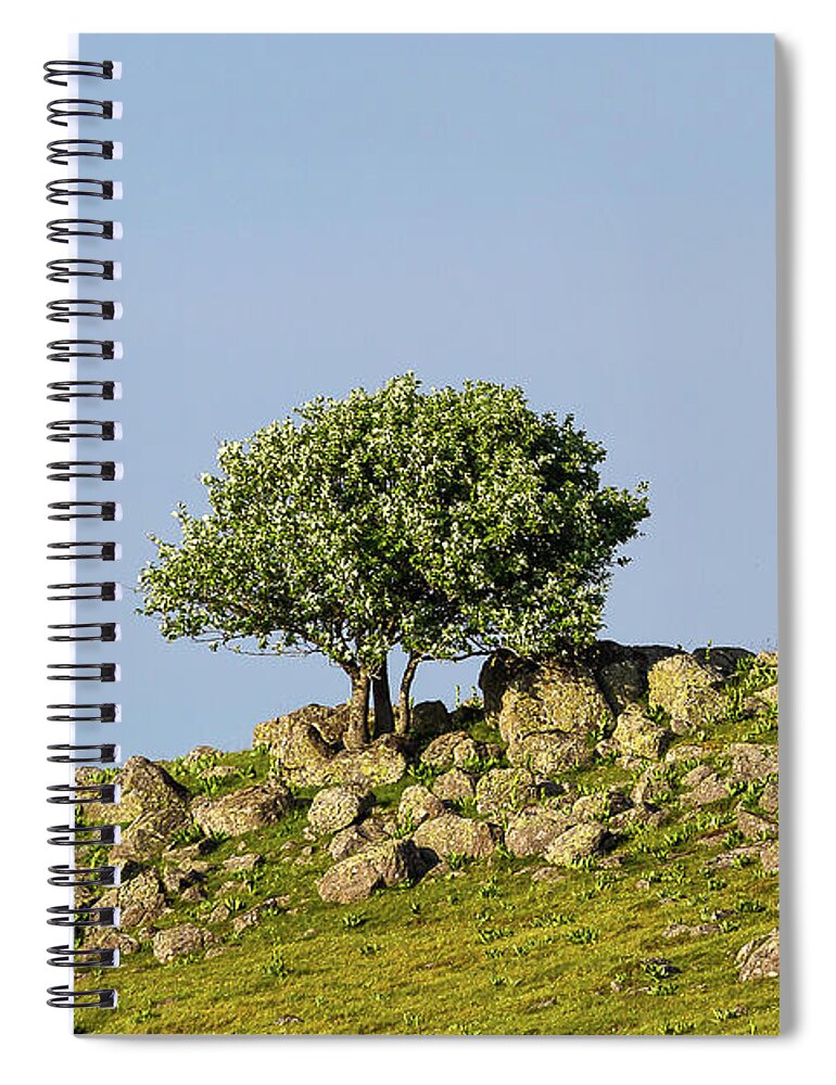Tree Spiral Notebook featuring the photograph Landscape of Aubrac - 1 - France by Paul MAURICE