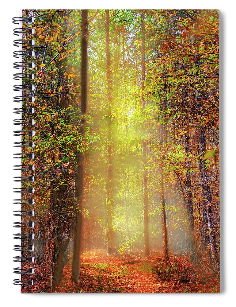 Trail Spiral Notebook featuring the photograph Landscape - Sunrise - Into the Woods by Barry Jones