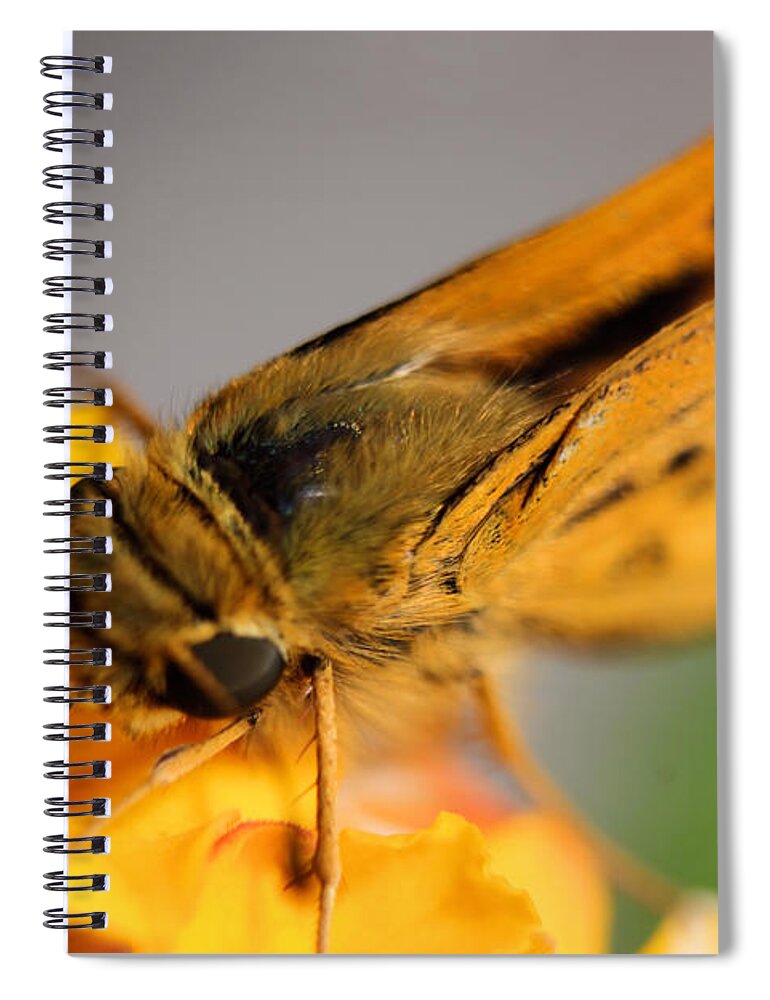 Landscape Spiral Notebook featuring the photograph Lantana Butterfly One by Morgan Carter