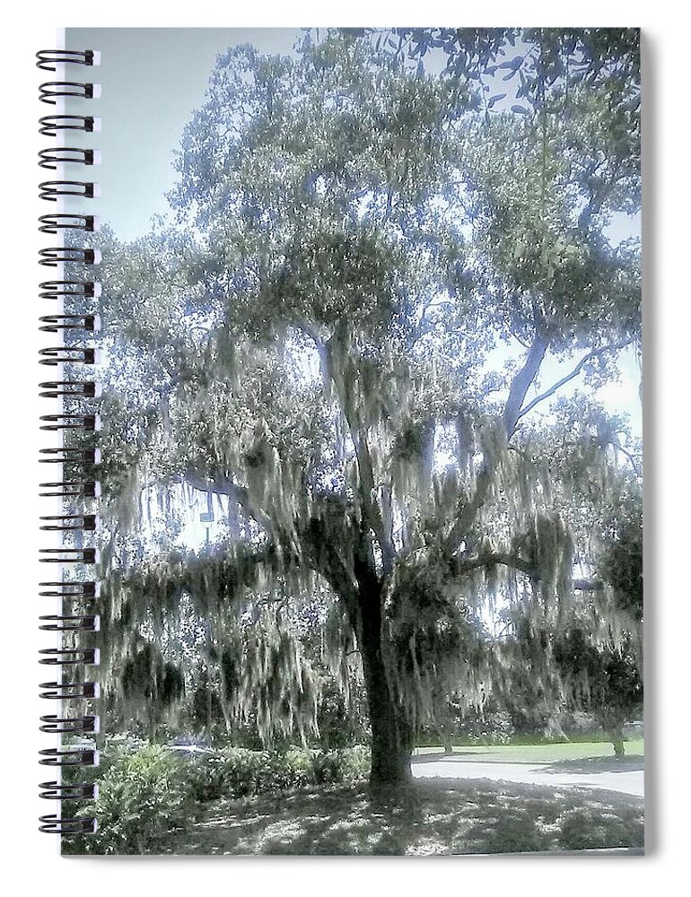 Tree. Florida Spiral Notebook featuring the photograph Largo's Spanish Moss by Suzanne Berthier