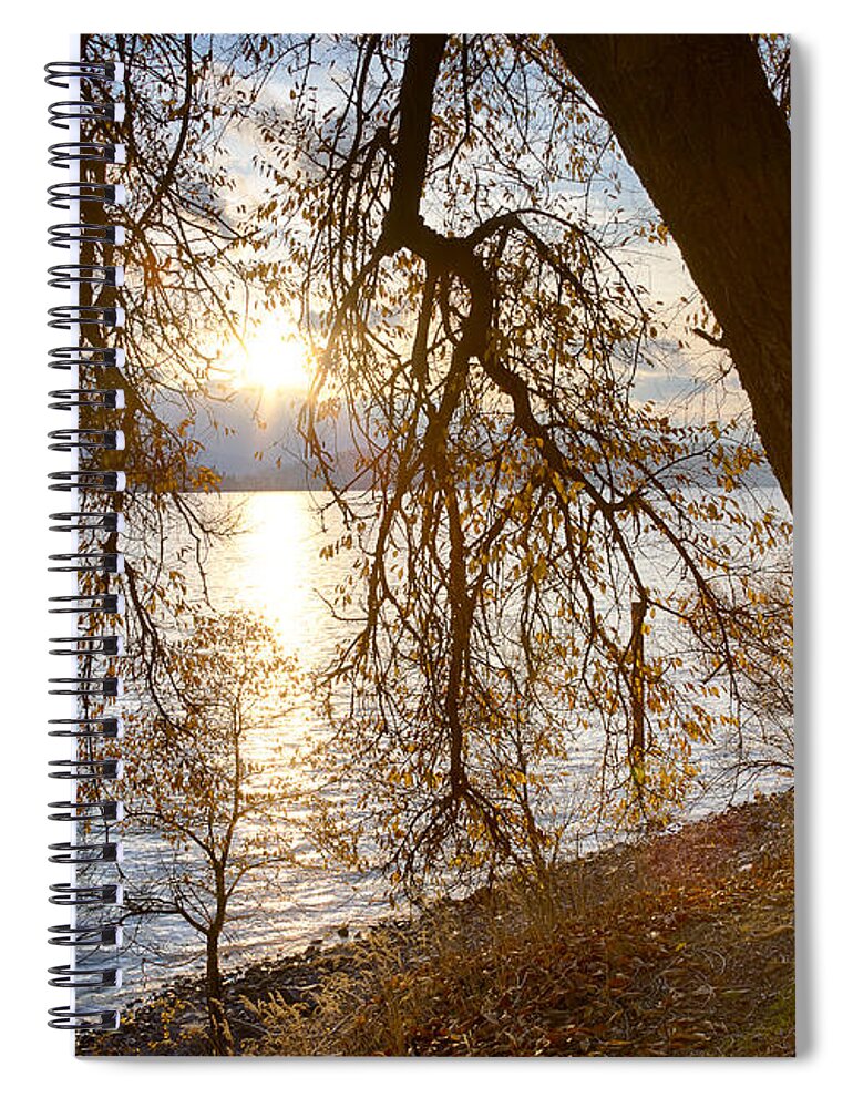 Coeur D'alene Lake Spiral Notebook featuring the photograph Last Leaves by Idaho Scenic Images Linda Lantzy
