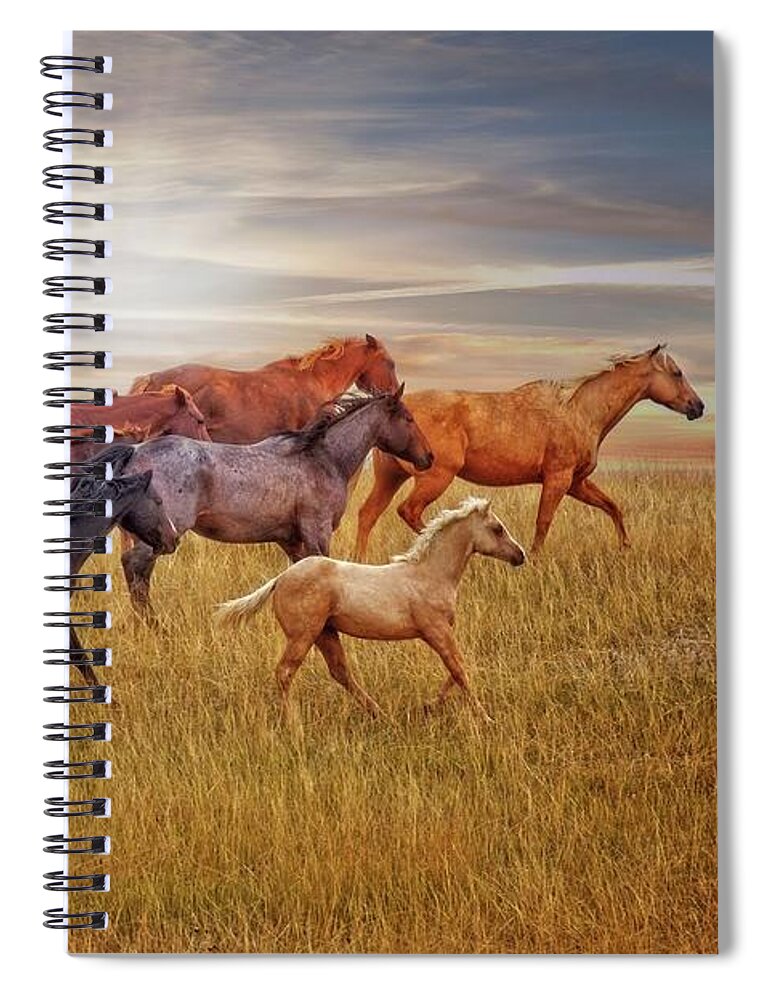 Sunset Spiral Notebook featuring the photograph Last Light's Run by Amanda Smith
