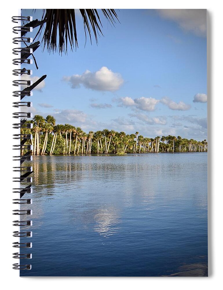 Marsh Spiral Notebook featuring the photograph Late Afternoon Sunlight II by Carol Bradley