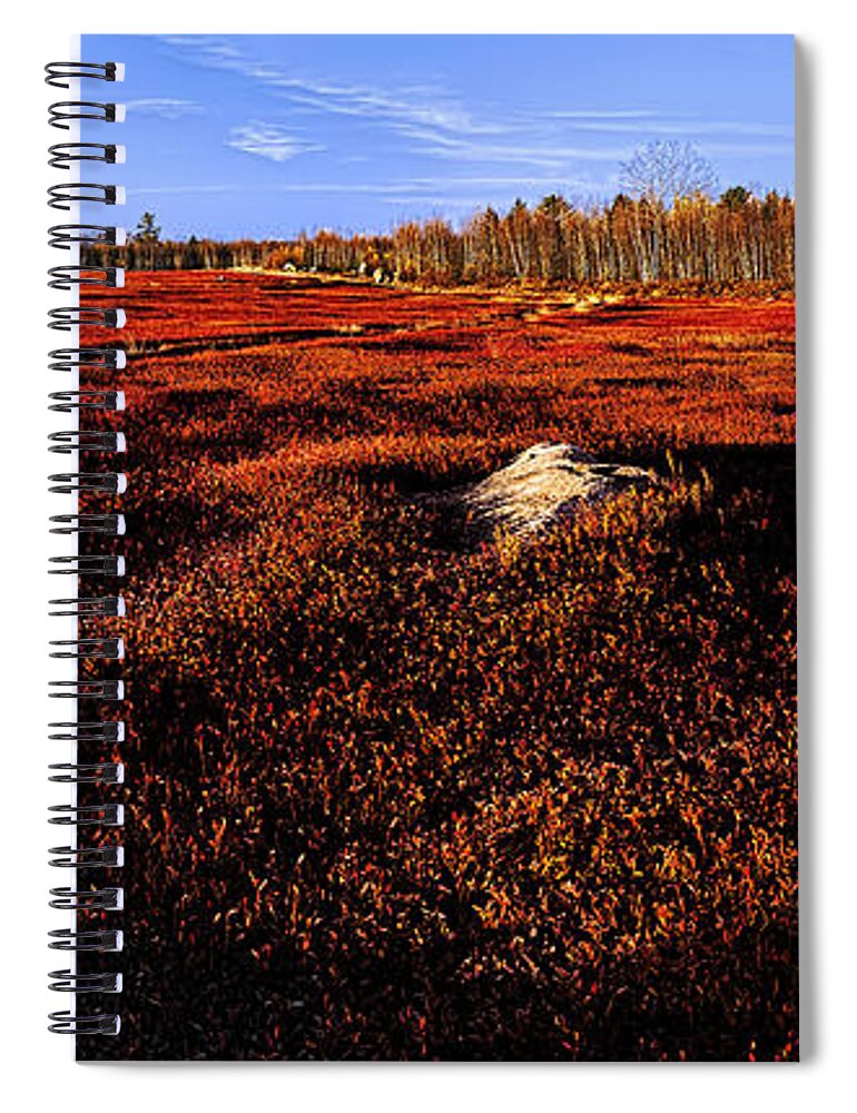 Blueberry Fields Spiral Notebook featuring the photograph Late Autumn Crimson Blueberry Barrens by Marty Saccone
