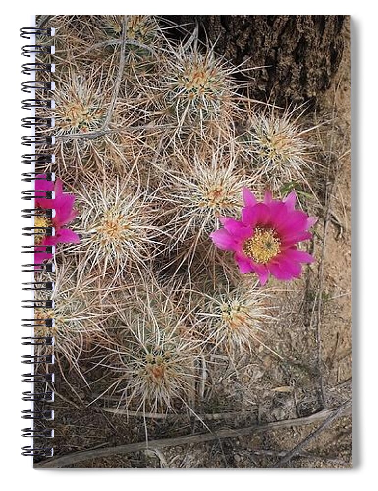 Late Bloomers Spiral Notebook featuring the photograph Late Bloomer by Angela J Wright
