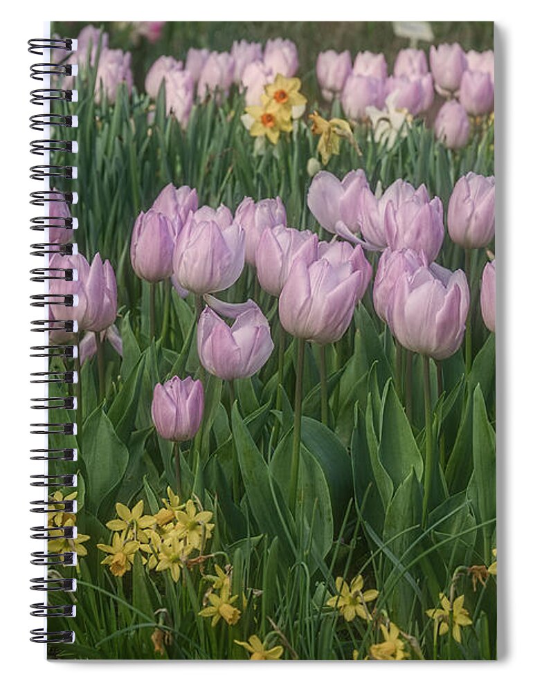 Lavender Spiral Notebook featuring the photograph Lavender Tulips by Elaine Teague