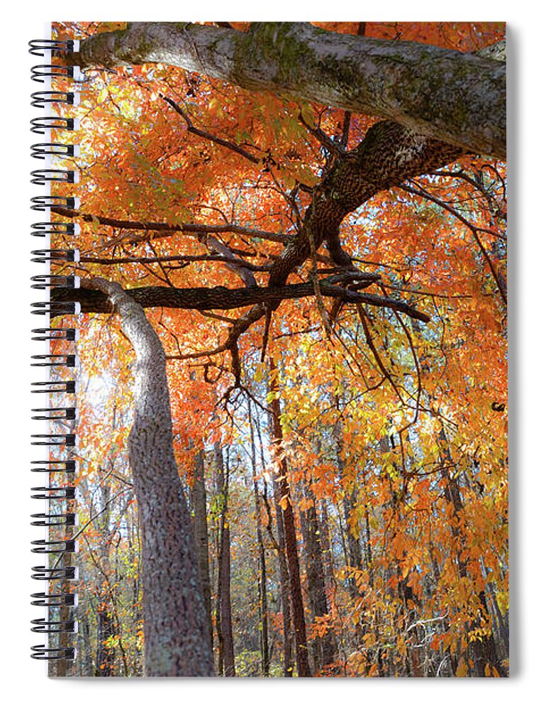 Landscape Spiral Notebook featuring the photograph Lead the Way - Georgia by Adrian De Leon Art and Photography