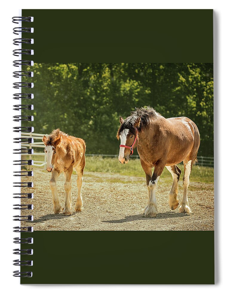Animal Spiral Notebook featuring the photograph Leading The Way by Bill and Linda Tiepelman
