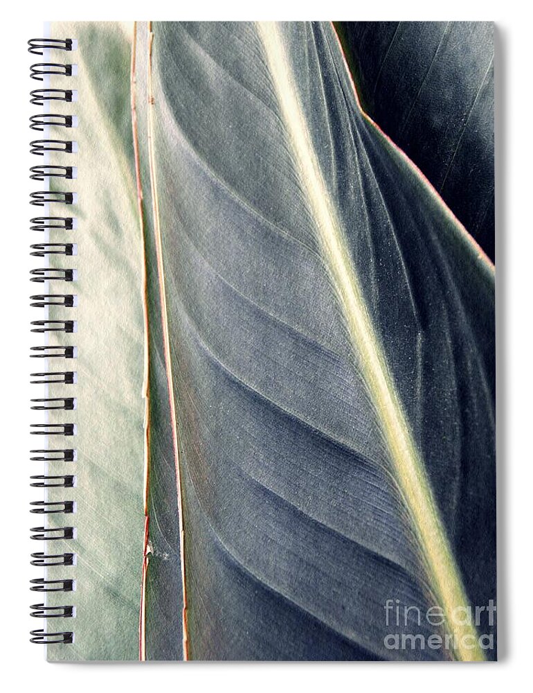 Leaf Spiral Notebook featuring the photograph Leaf Abstract 14 by Sarah Loft
