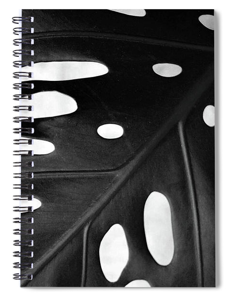 Leaf Spiral Notebook featuring the photograph Leaf with Holes by Lynn Hansen