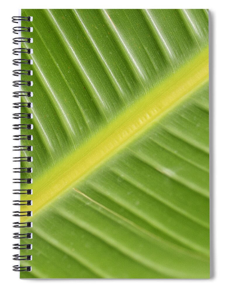 Ecology Spiral Notebook featuring the photograph Leafy Green by Christi Kraft
