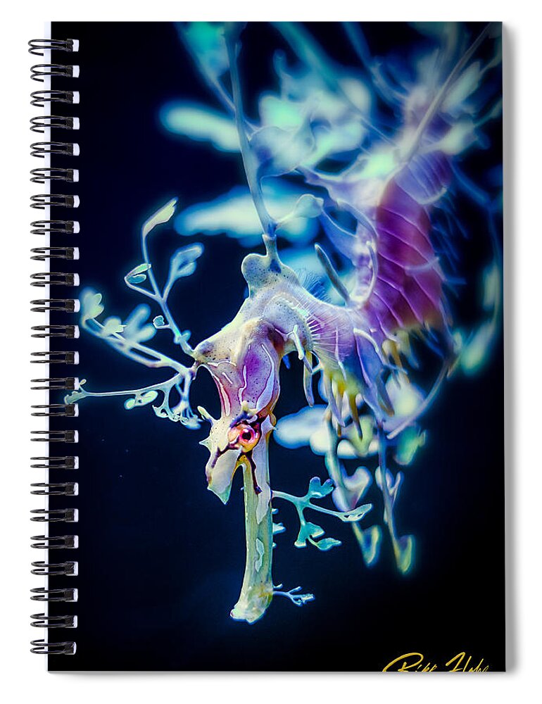 Animals Spiral Notebook featuring the photograph Leafy Sea Dragon on Black by Rikk Flohr