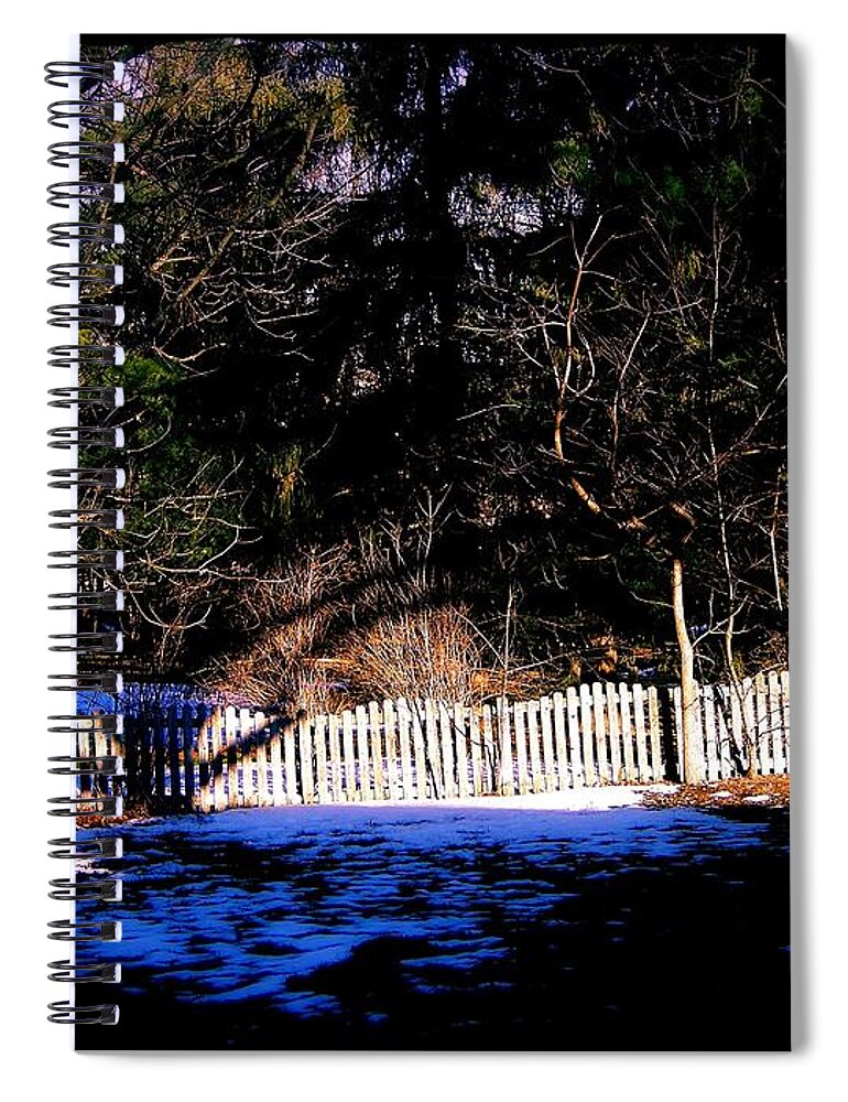 Leap Year Spiral Notebook featuring the photograph Leap Year by Frank J Casella