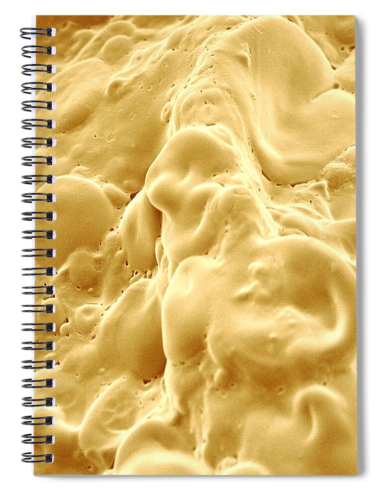 Science Spiral Notebook featuring the photograph Lebanese Pita Bread, Sem by Scimat