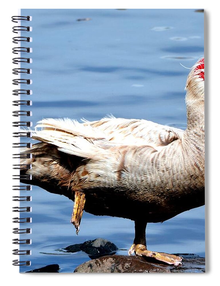 Goose Spiral Notebook featuring the photograph Leg Up by Dani McEvoy