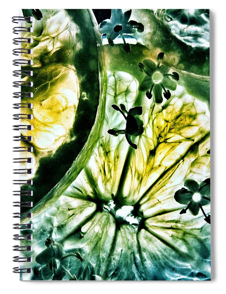 Lemon And Lime Spiral Notebook featuring the photograph Lemon and Lime by Marianna Mills