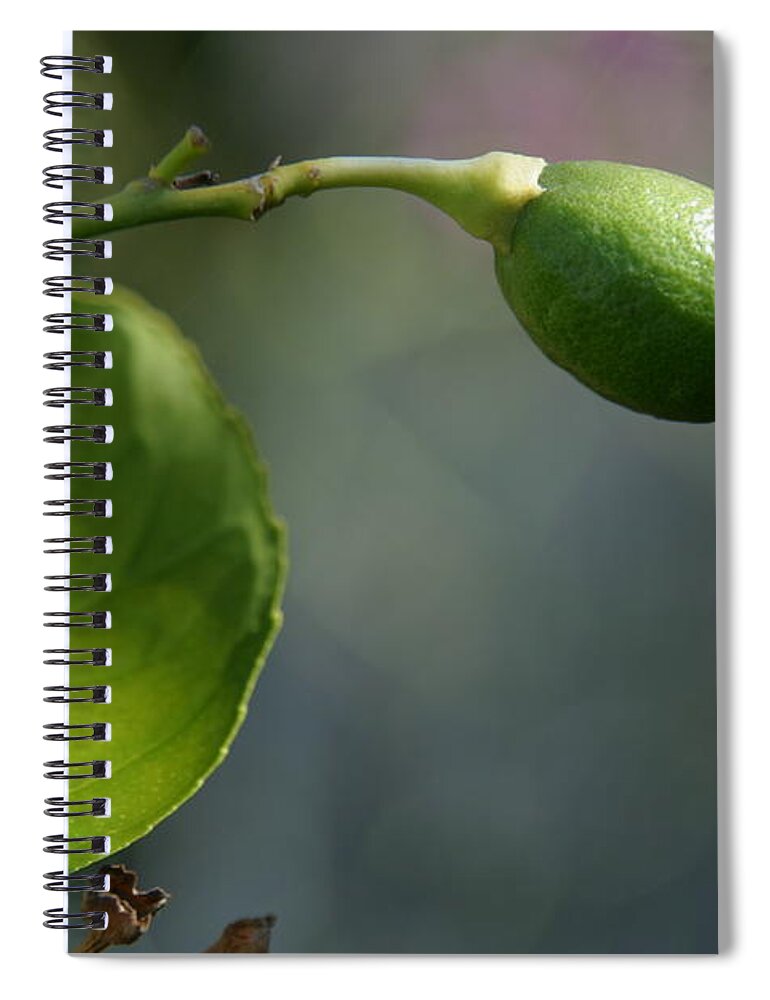 Lemon Spiral Notebook featuring the photograph Lemon by Eileen Gayle