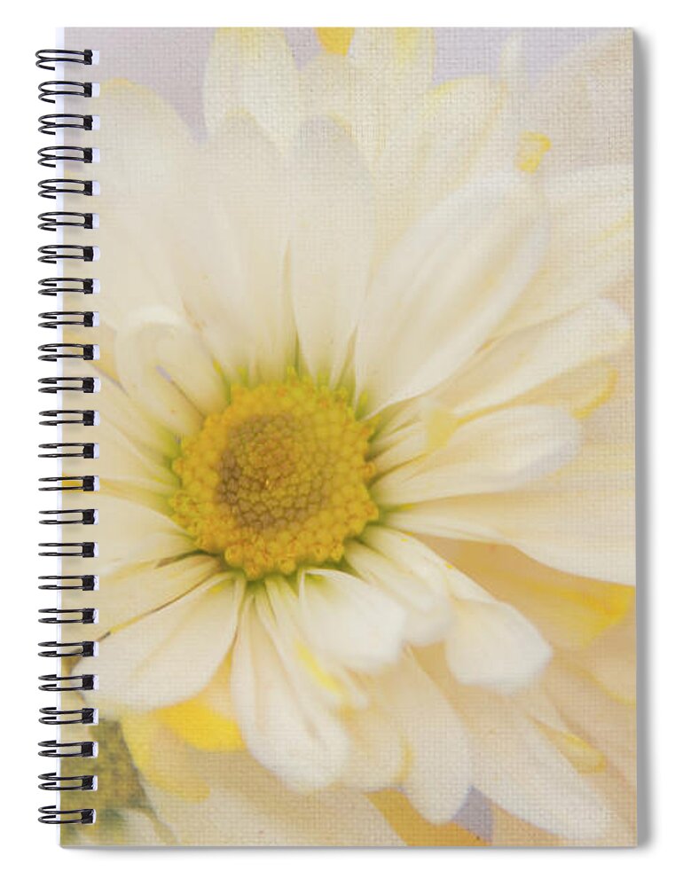  Daisy Spiral Notebook featuring the photograph Lemon Sunshine by Pamela Williams