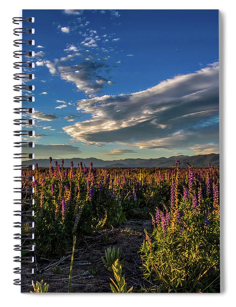 Lake Tahoe Spiral Notebook featuring the photograph Lenticular Lupine by Mitch Shindelbower