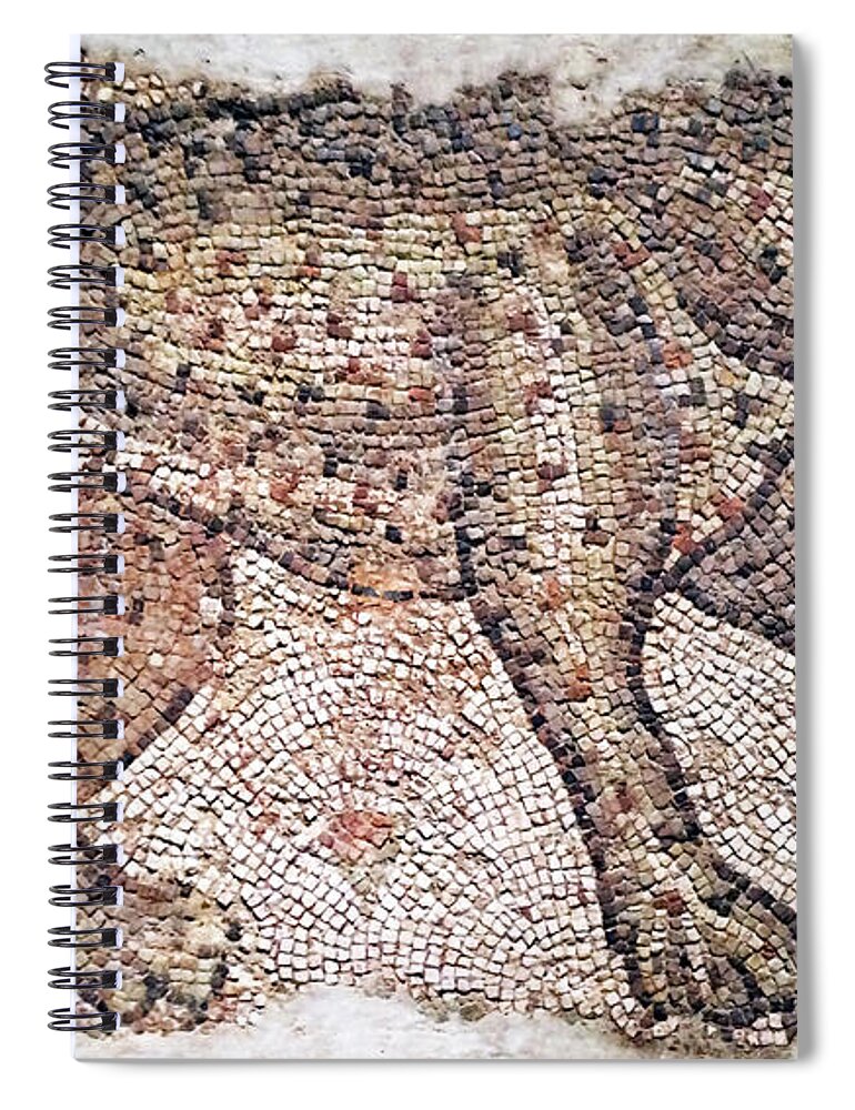 Leopard Mosaic Spiral Notebook featuring the photograph Leopard Mosaic No. 48-1 by Sandy Taylor