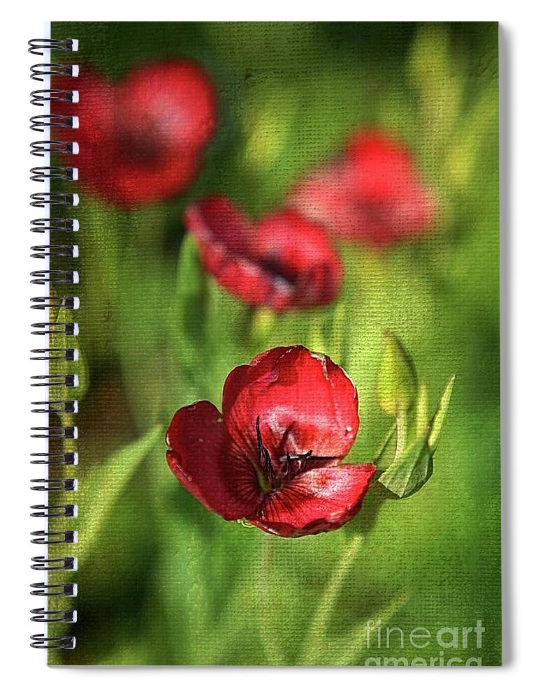Flowers Spiral Notebook featuring the photograph Les Flamboyantes - 01t3cr by Aimelle Ml