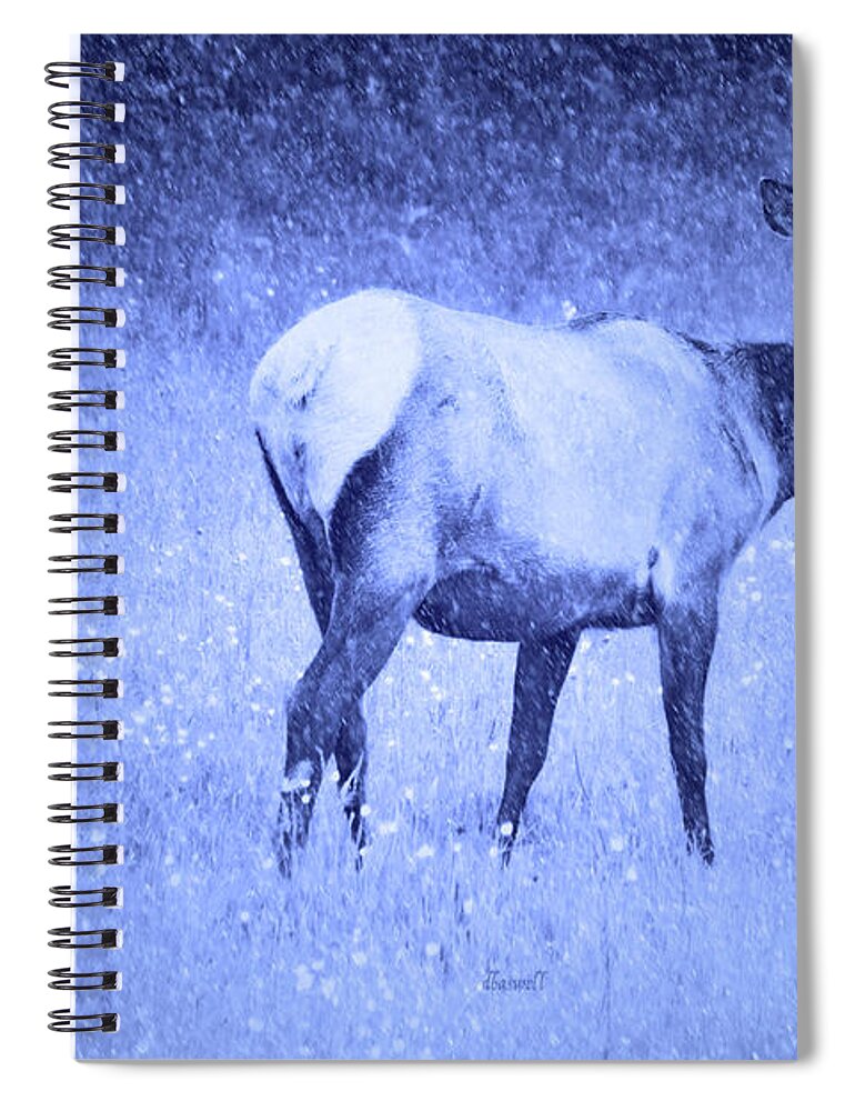 Elk In Snow Spiral Notebook featuring the photograph Let It Snow by Dennis Baswell