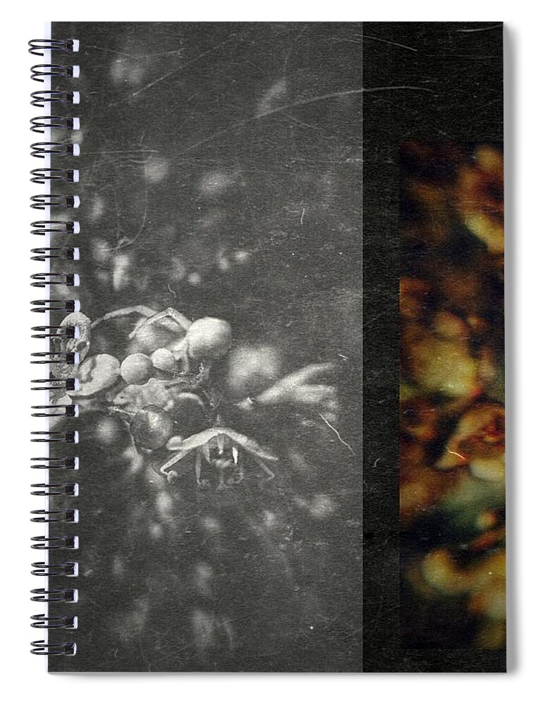 Day Spiral Notebook featuring the photograph Let The Wind Go by Mark Ross