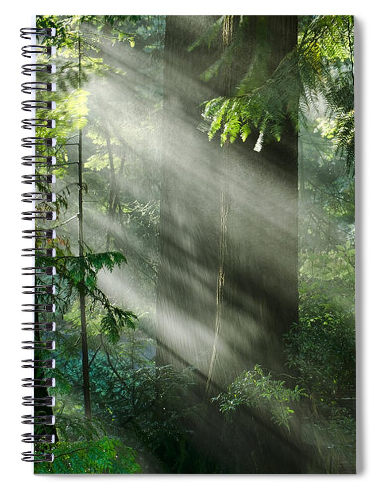 Sunrays Spiral Notebook featuring the photograph Let There Be Light by Don Schwartz