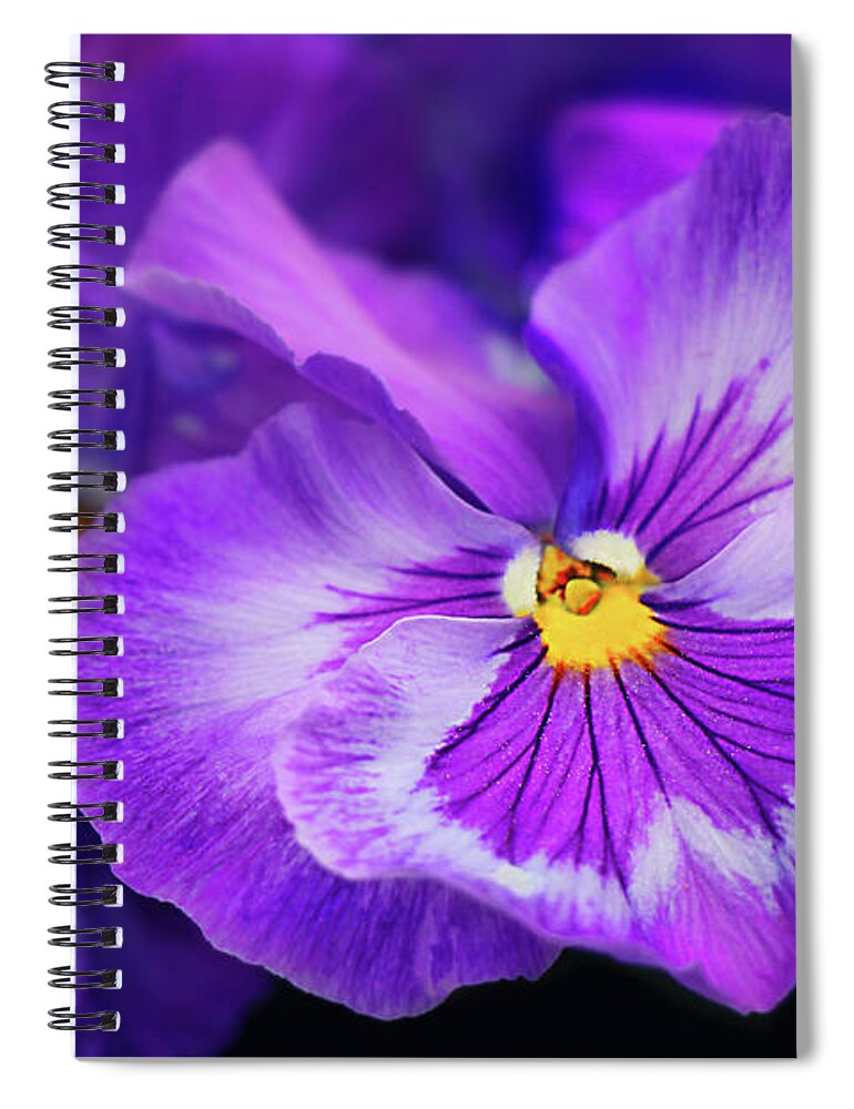Violet Spiral Notebook featuring the photograph Letters To Violet by Iryna Goodall