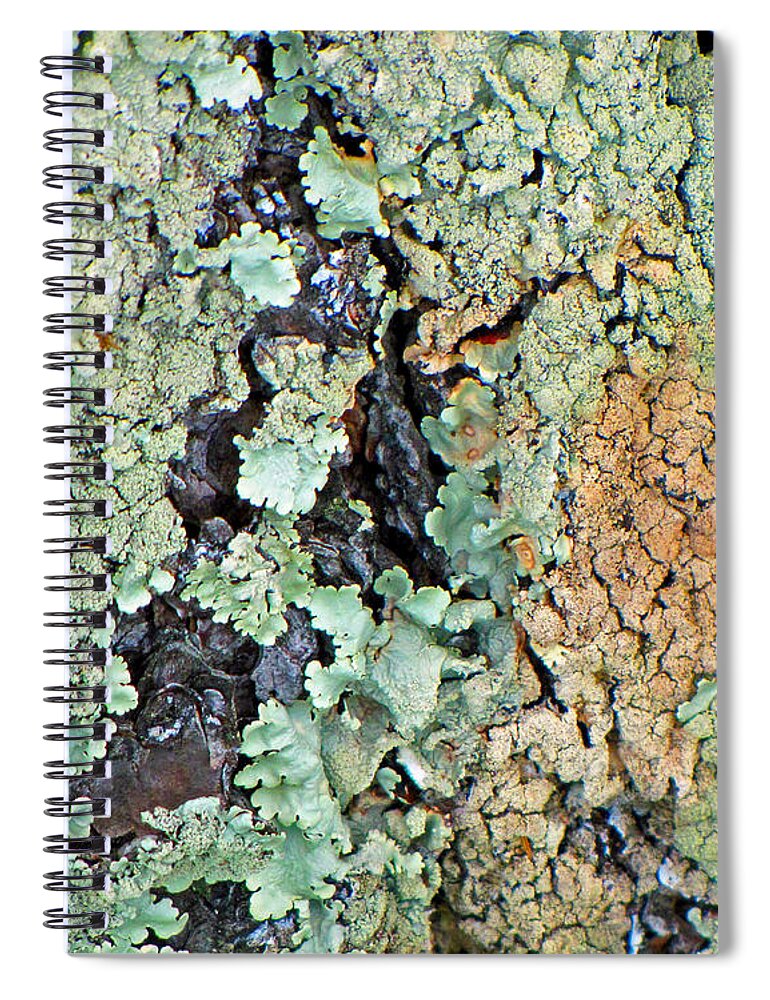 Bark Spiral Notebook featuring the photograph Lichen Field by Lynda Lehmann