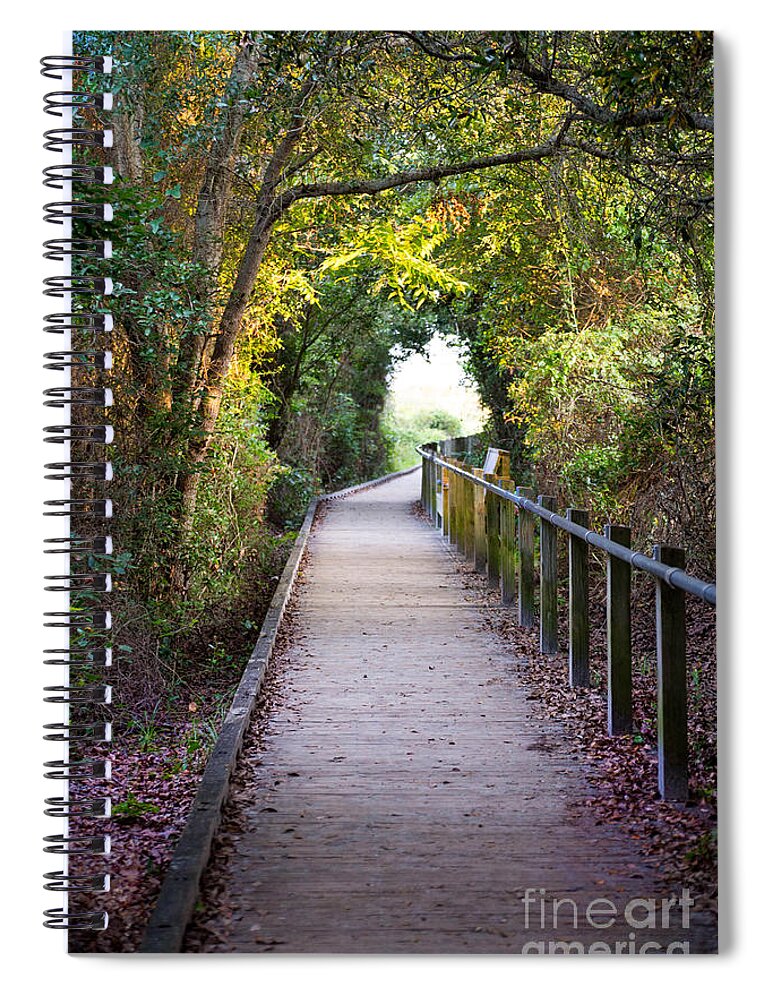 Path Spiral Notebook featuring the photograph Life Beyond The Path by Sharon McConnell
