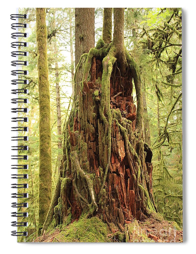 Tree Spiral Notebook featuring the photograph Life Goes On by Carol Groenen