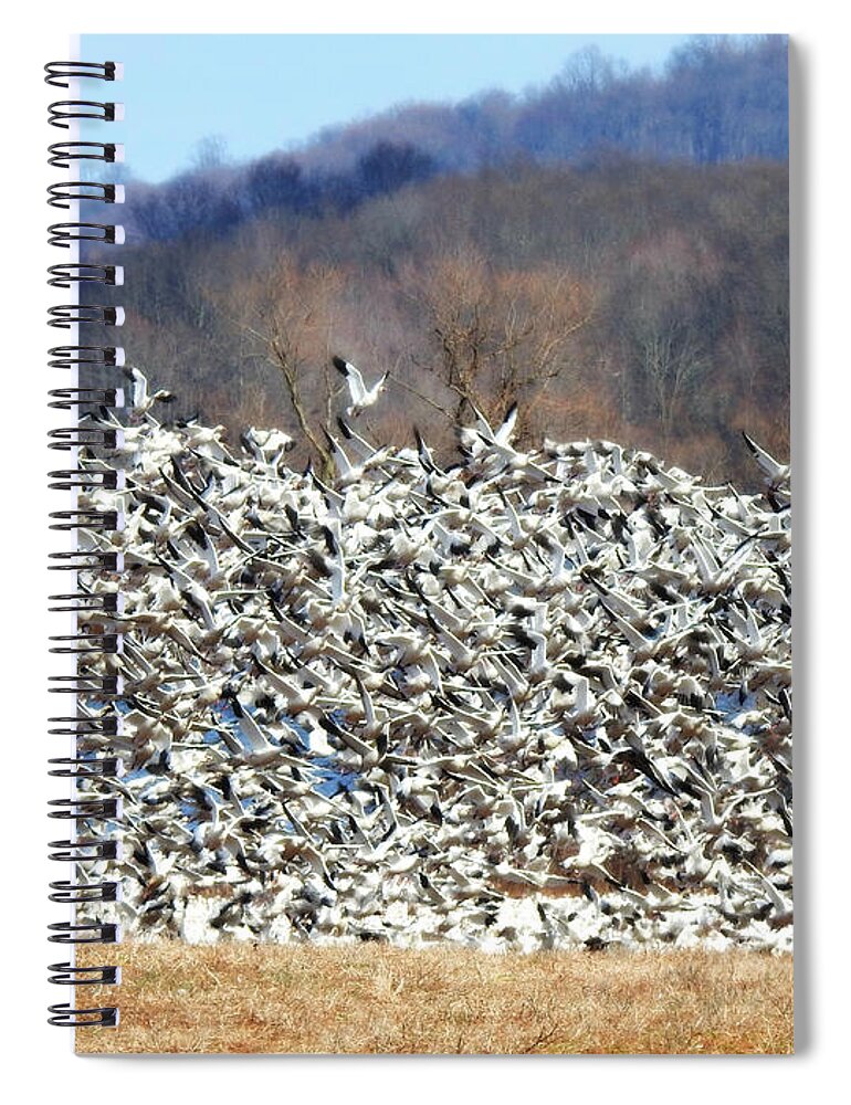 Lift Off Spiral Notebook featuring the photograph Lift Off by Dark Whimsy