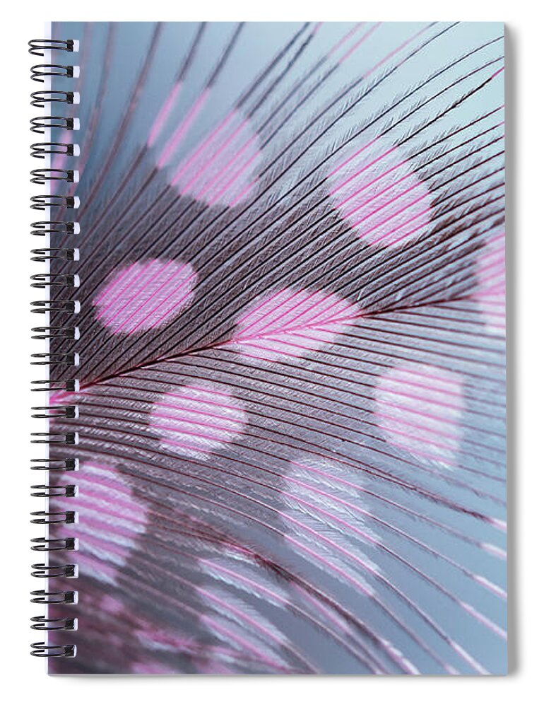 Jenny Rainbow Fine Art Photography Spiral Notebook featuring the photograph Light World by Jenny Rainbow