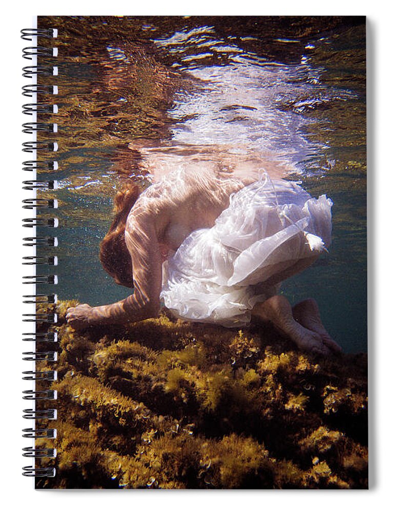 Swim Spiral Notebook featuring the photograph Like a Stone by Gemma Silvestre