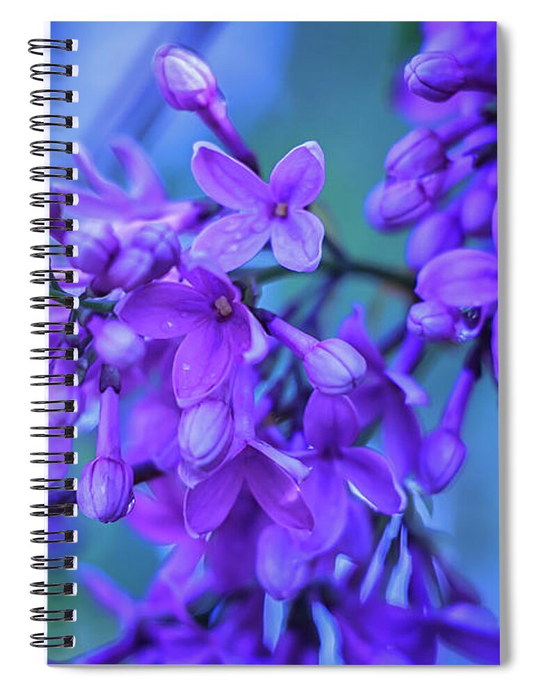 Lilacs Spiral Notebook featuring the photograph Lilac Blues by Elizabeth Dow