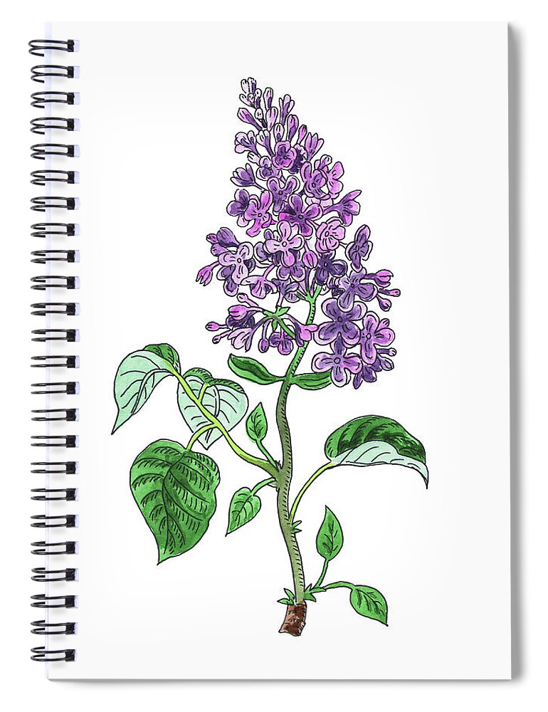 Lilac Spiral Notebook featuring the painting Lilac Flower Watercolor by Irina Sztukowski