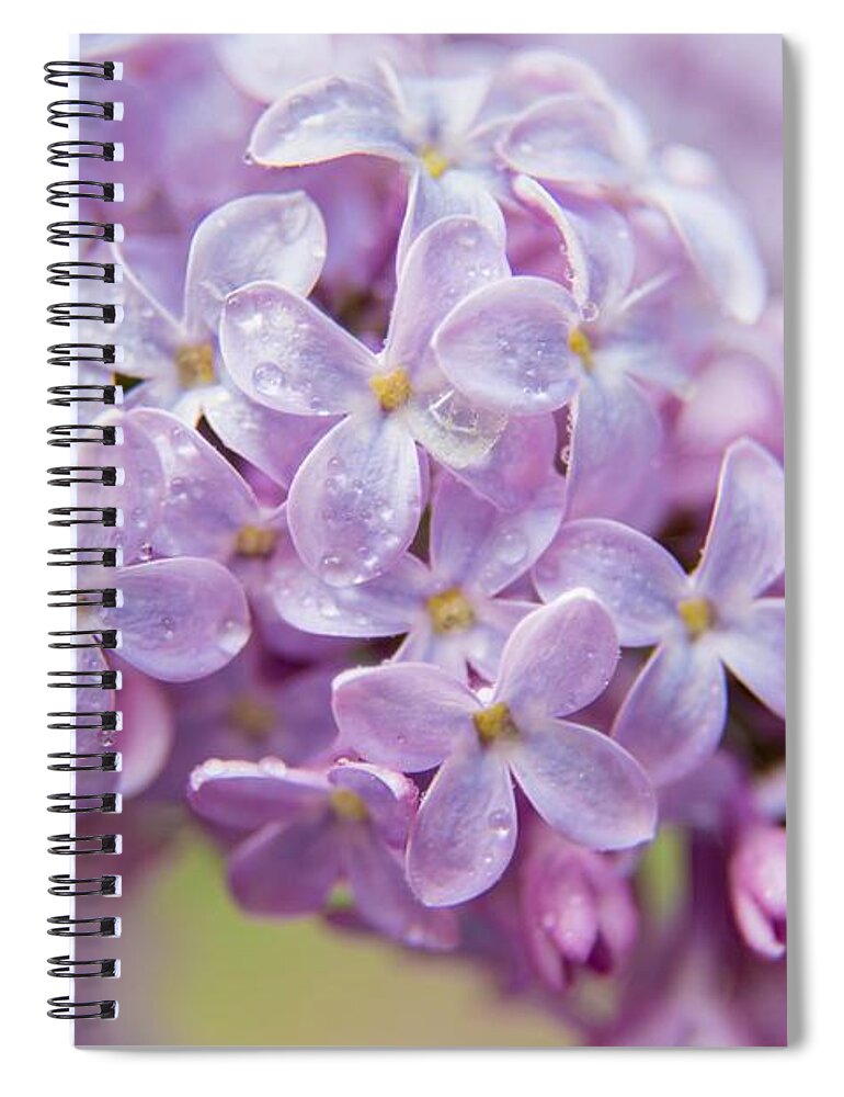 Maine Spiral Notebook featuring the photograph Lilac Love by Karin Pinkham