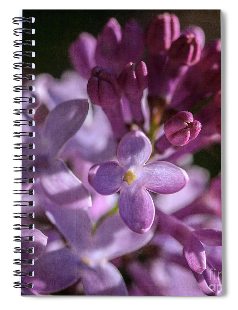 Lilacs Spiral Notebook featuring the photograph Lilacs by Tamara Becker