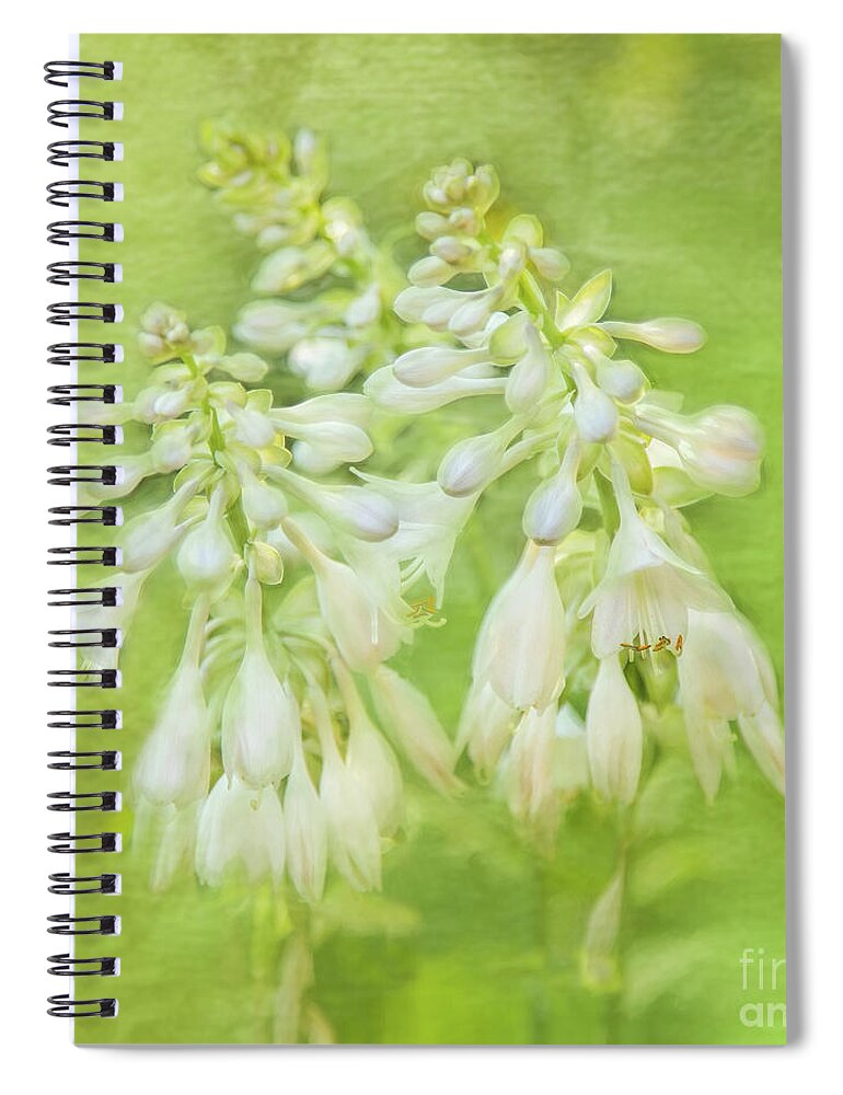 Hosta Spiral Notebook featuring the photograph Lilies White Lilies Smell So Sweet by Marilyn Cornwell