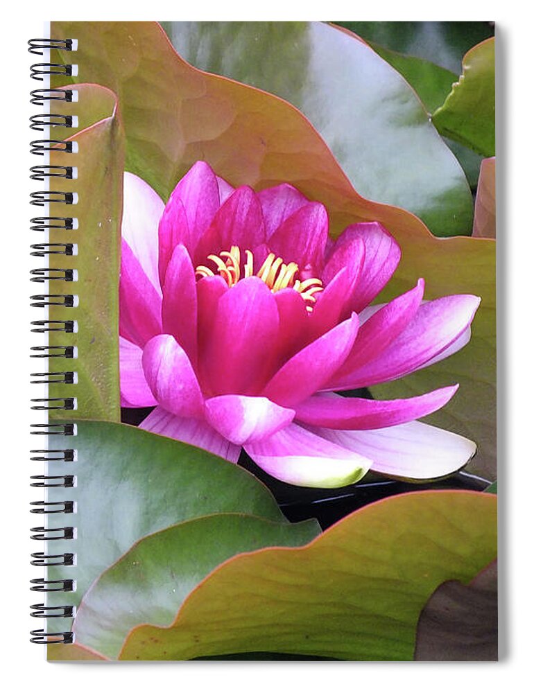 Pond Lilly Spiral Notebook featuring the photograph Lilly in Bloom by Wendy McKennon
